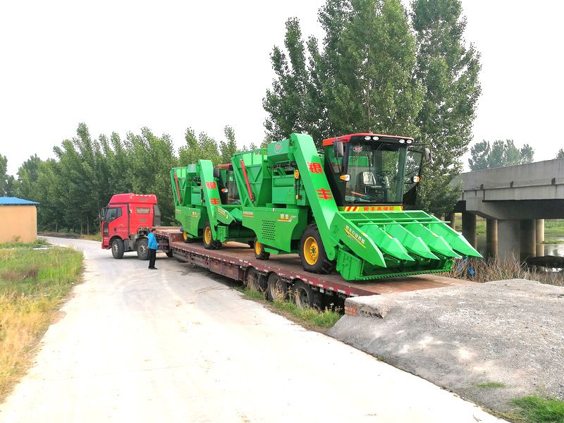 玉米青儲機各個部件應該怎樣進行保養(yǎng)？