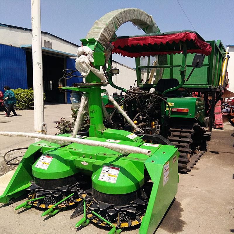 那些農(nóng)民在夏季收獲的地方去了哪里？ 