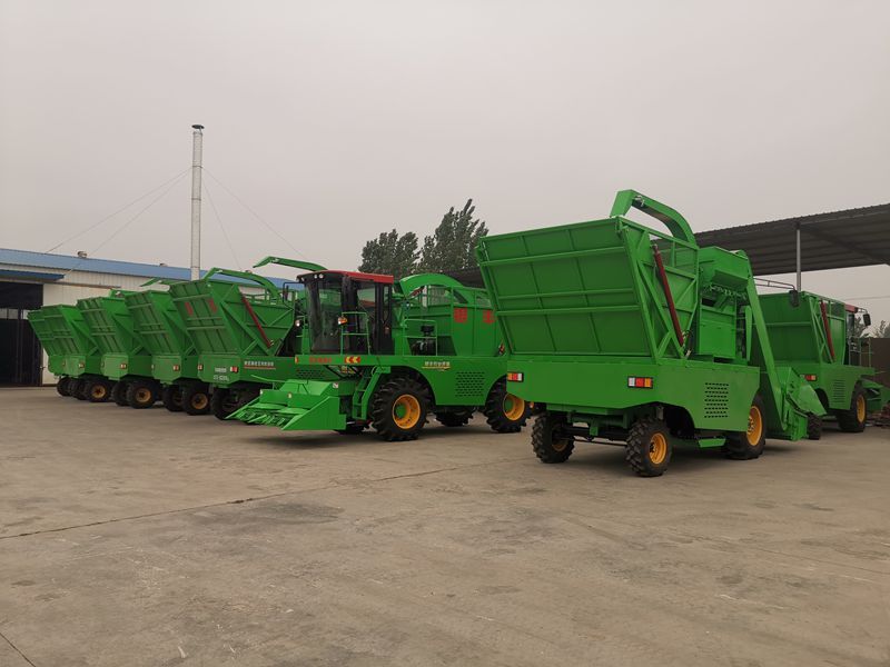 玉米青儲(chǔ)機(jī)帶領(lǐng)農(nóng)民走上致富路！